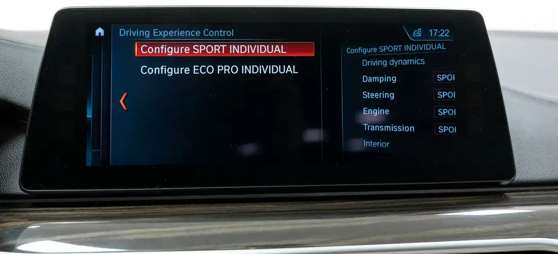 BMW 5 SERIES