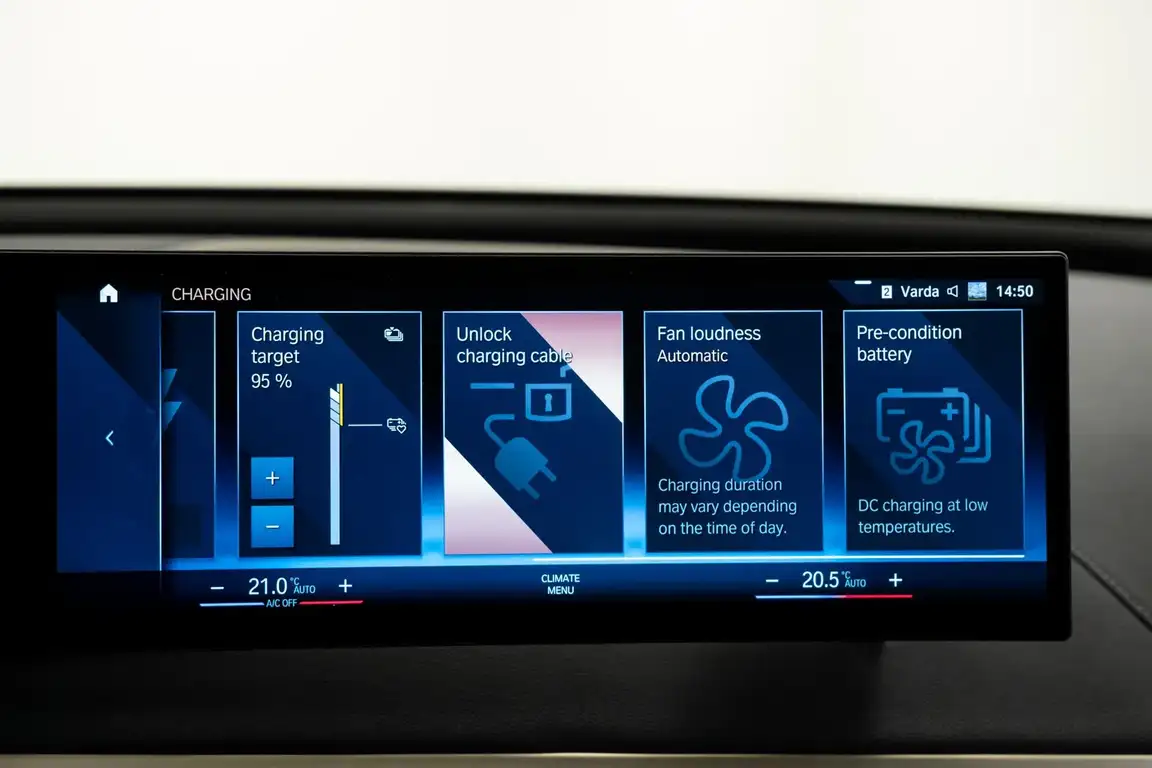 BMW IX