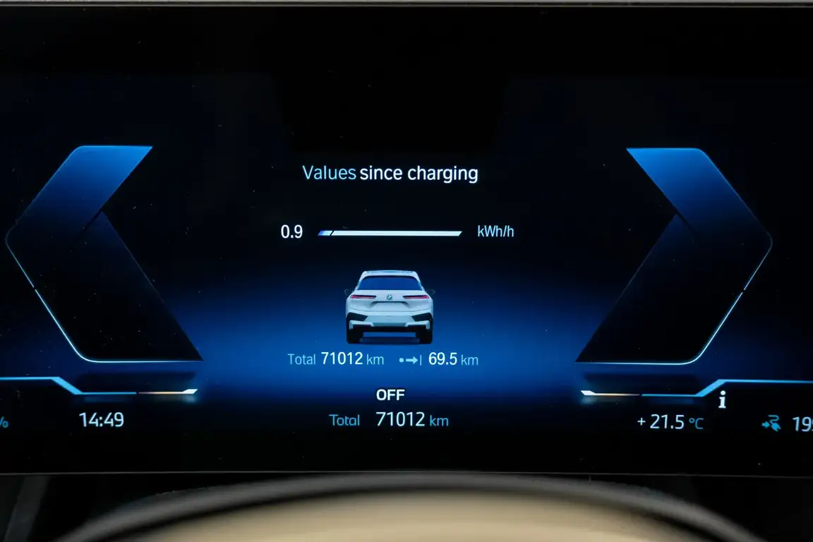 BMW IX