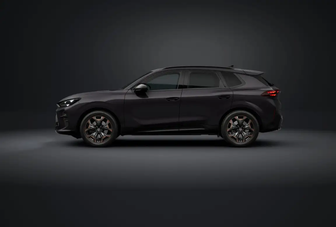 CUPRA TERRAMAR