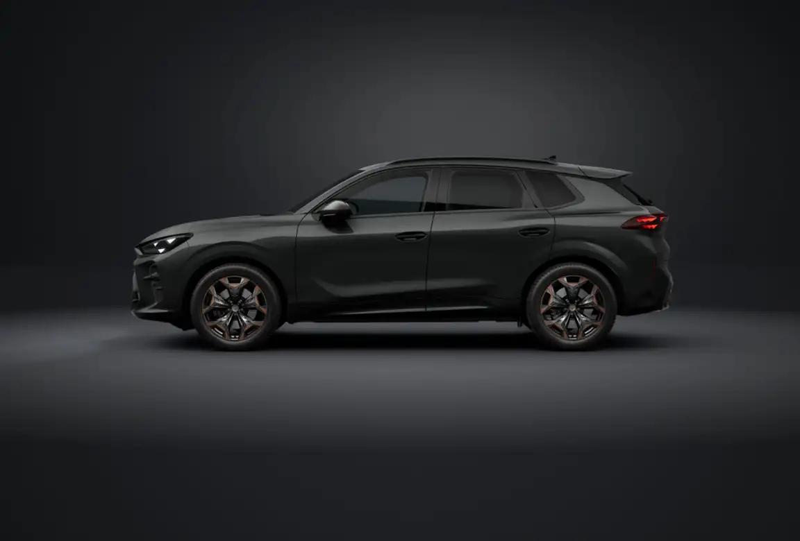 CUPRA TERRAMAR