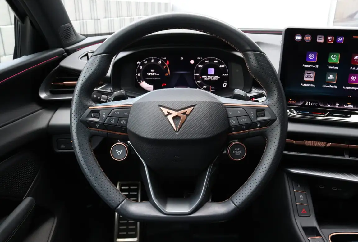 CUPRA TERRAMAR