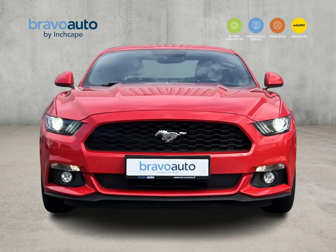 FORD MUSTANG