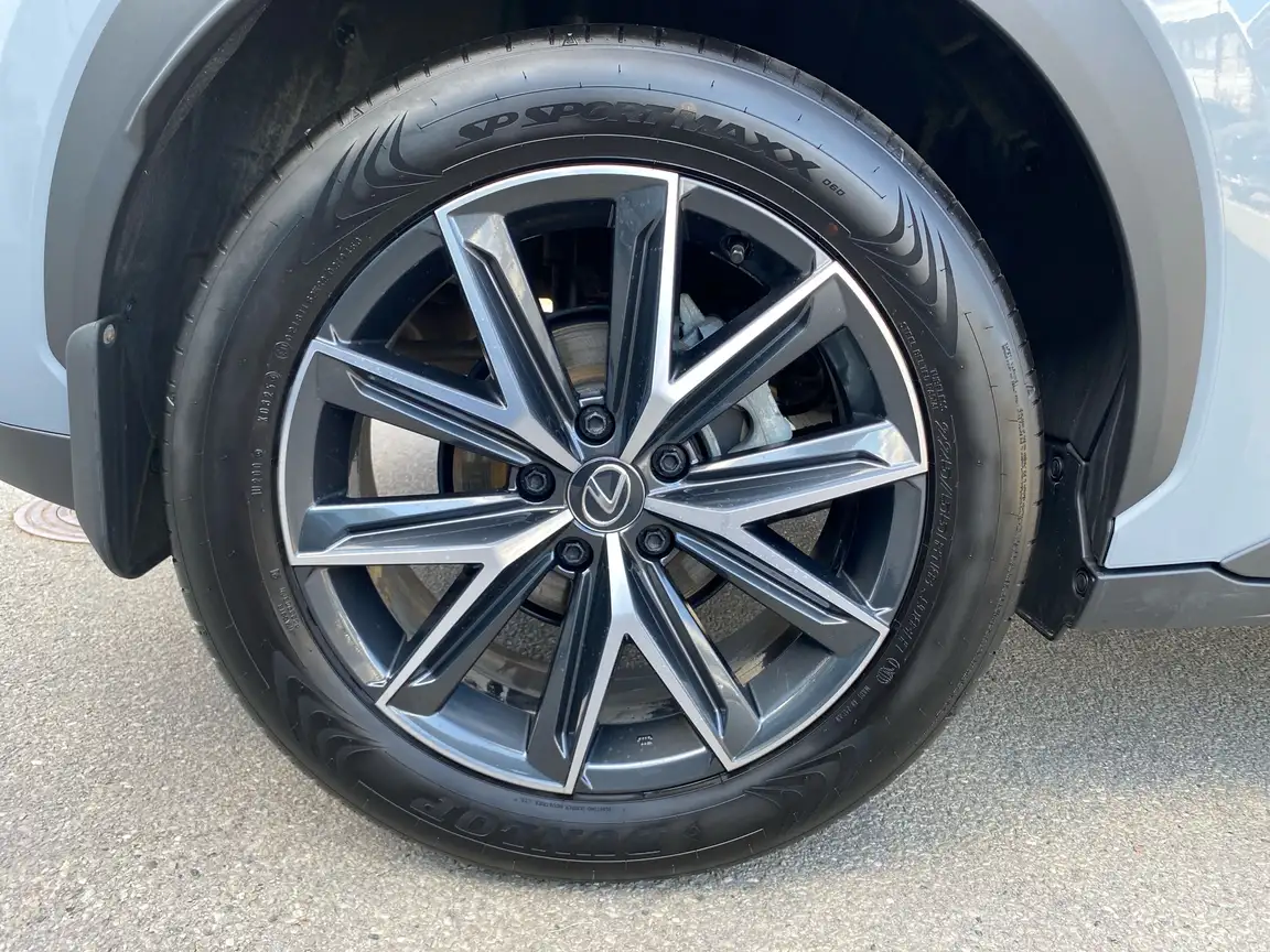 LEXUS LBX