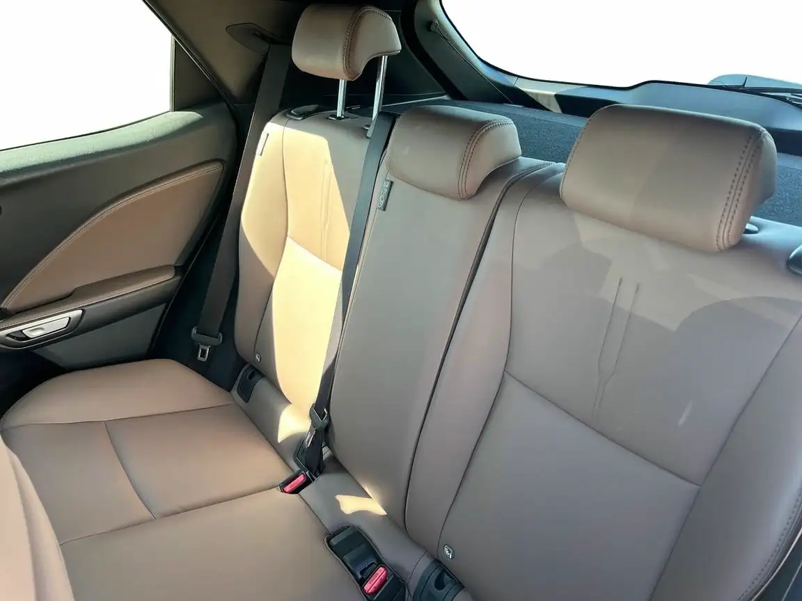 LEXUS LBX