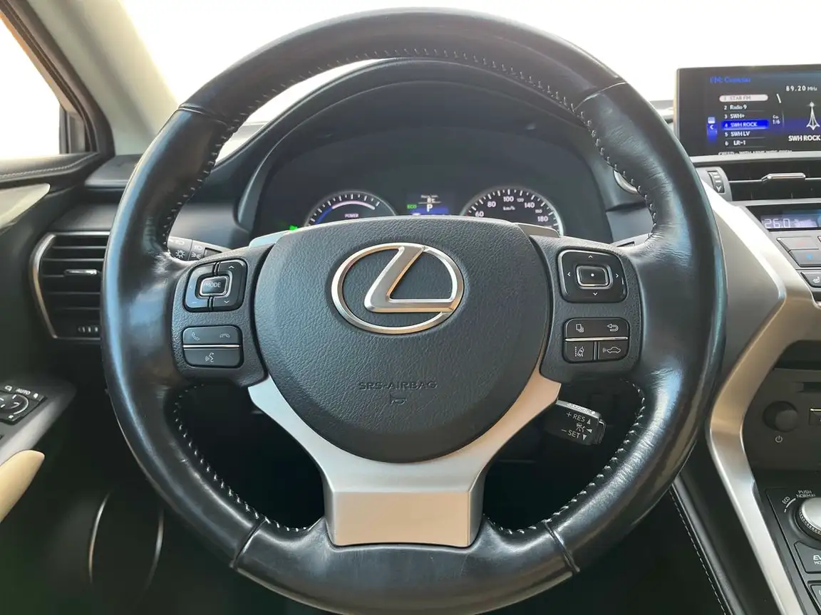 LEXUS NX