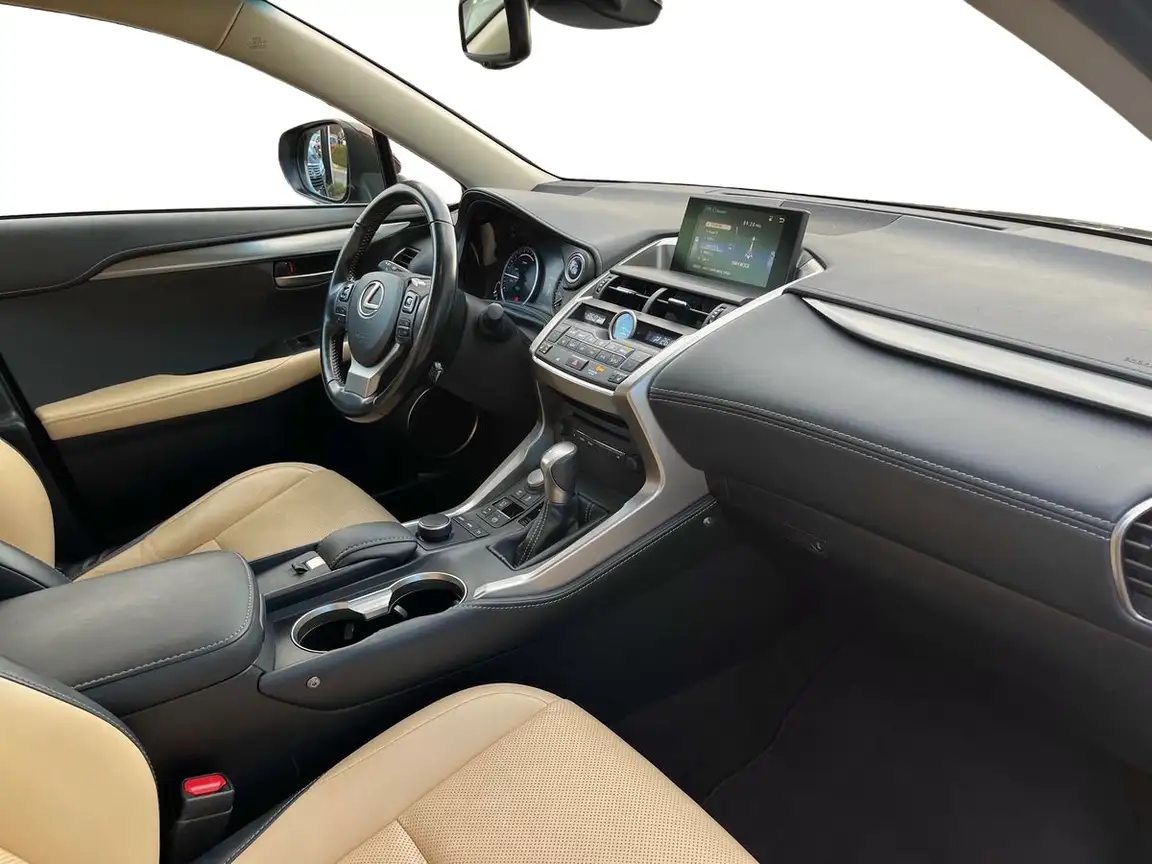LEXUS NX