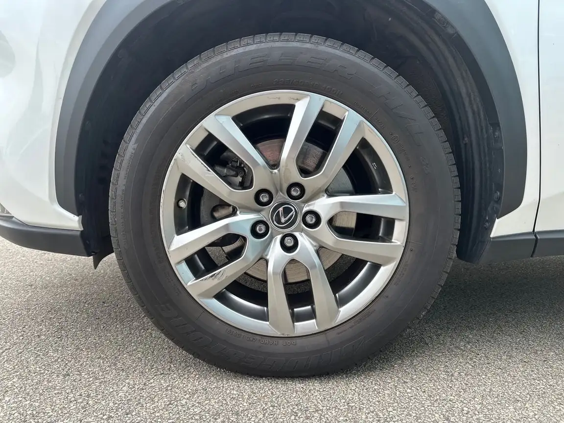 LEXUS NX