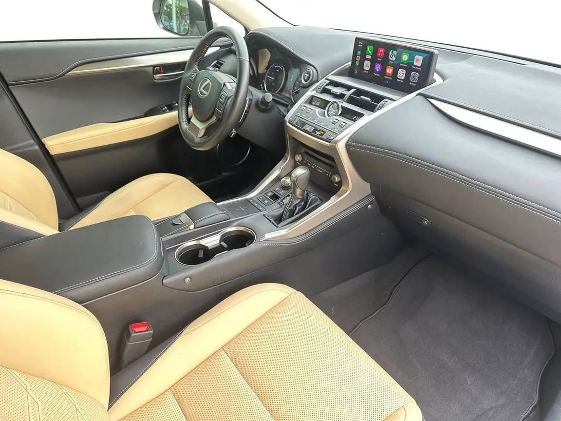 LEXUS NX