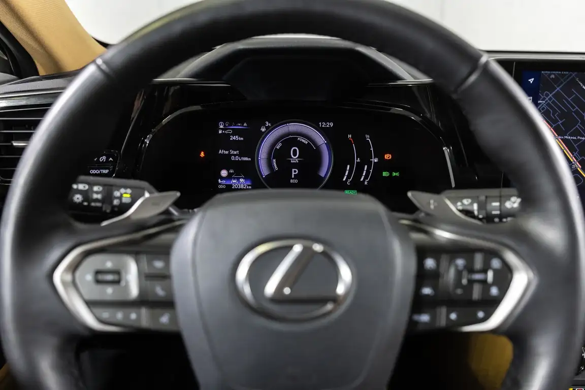 LEXUS NX