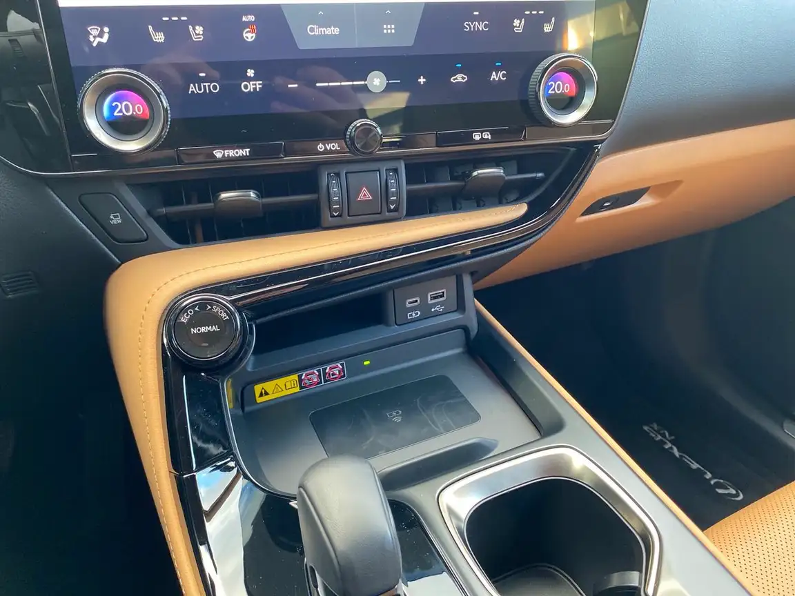 LEXUS NX