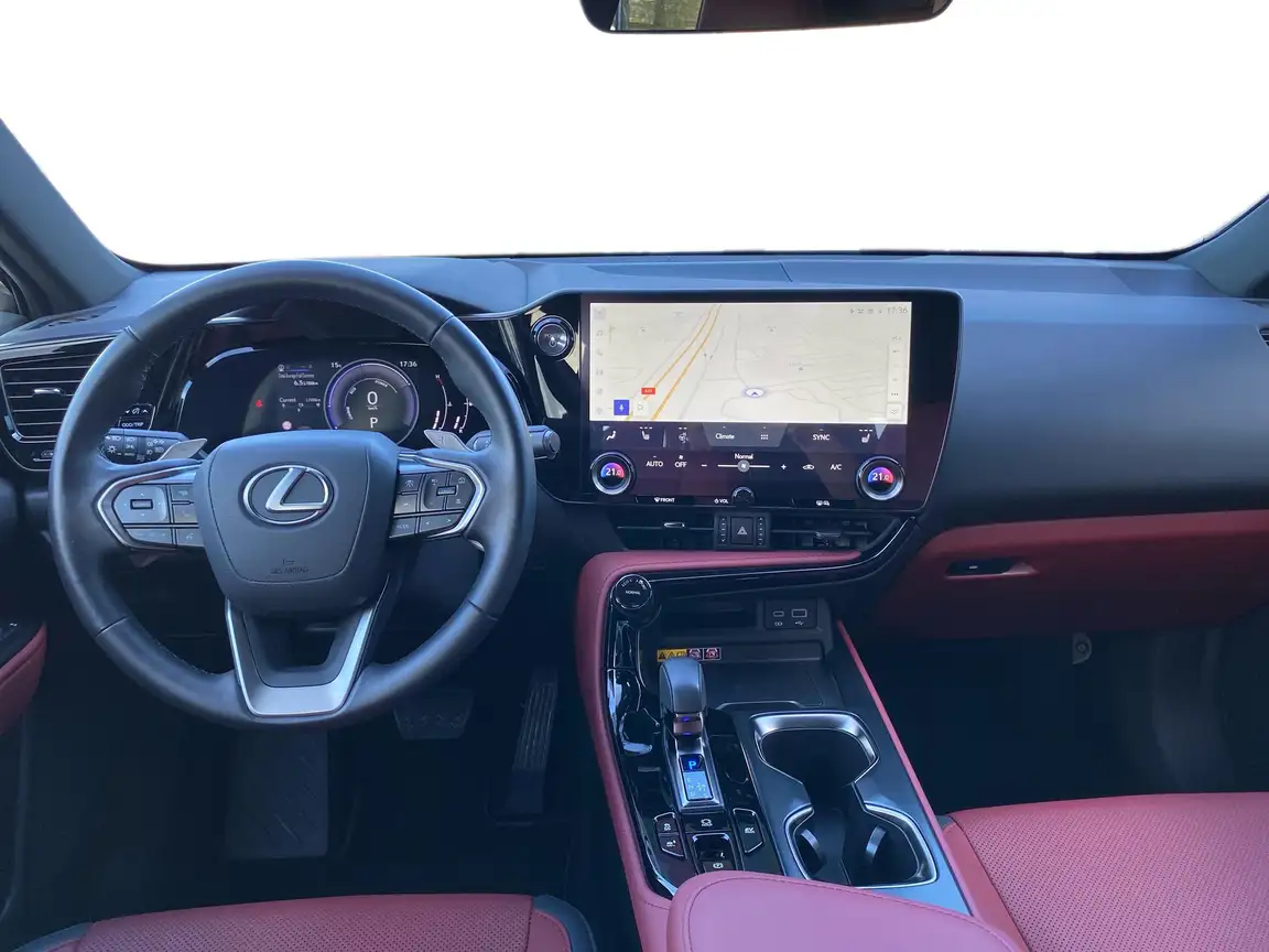 LEXUS NX