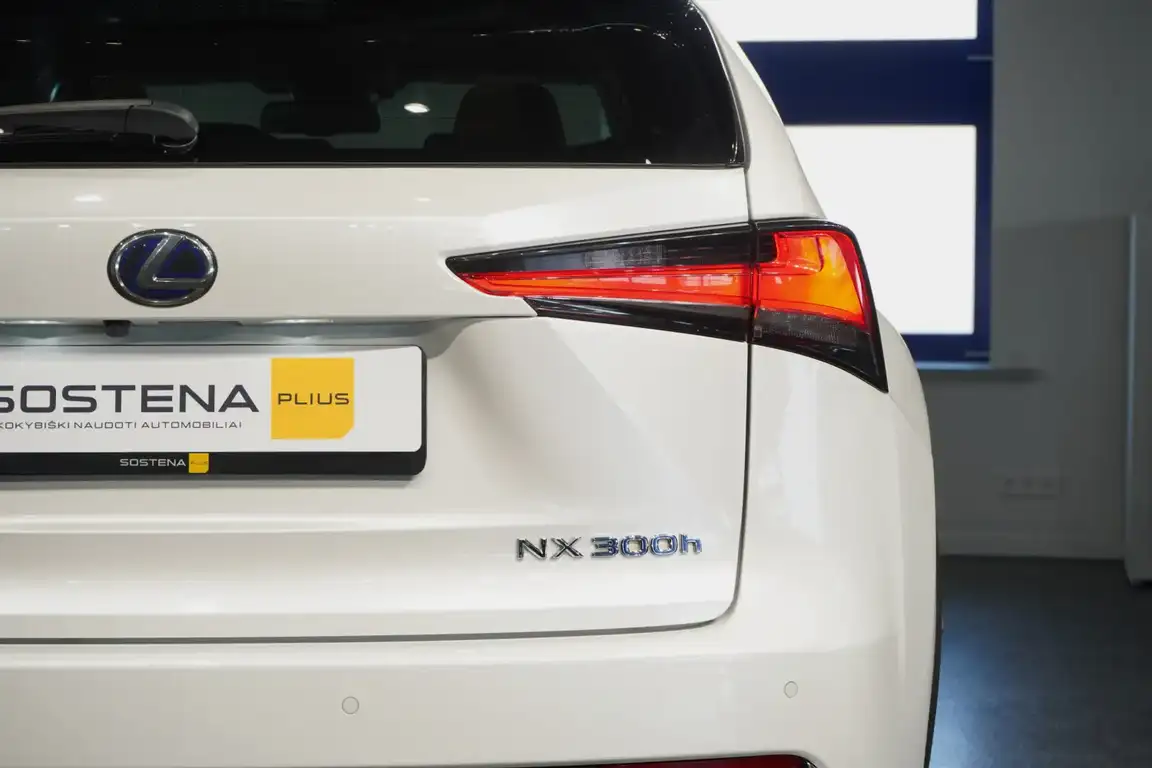 LEXUS NX