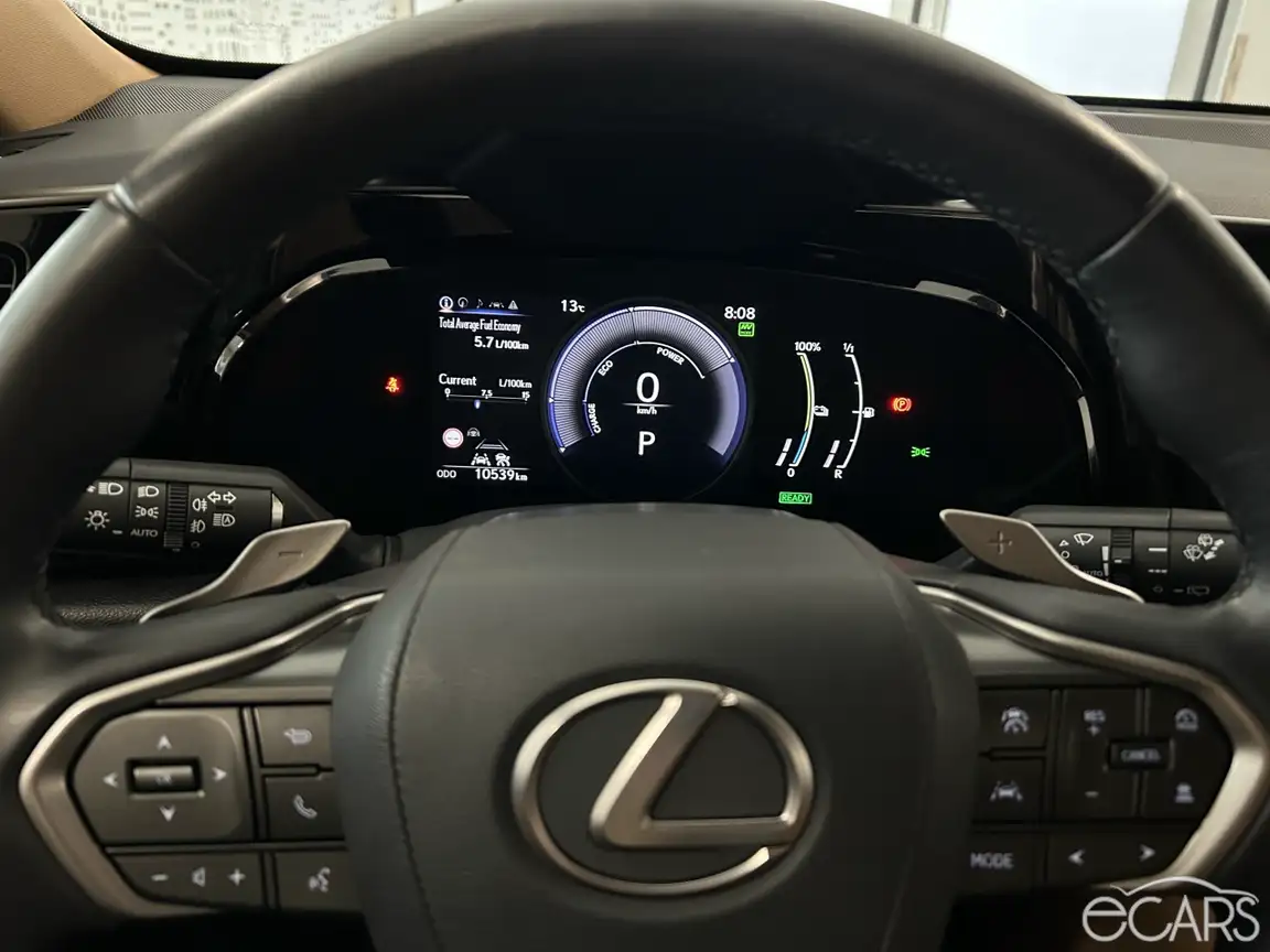 LEXUS NX