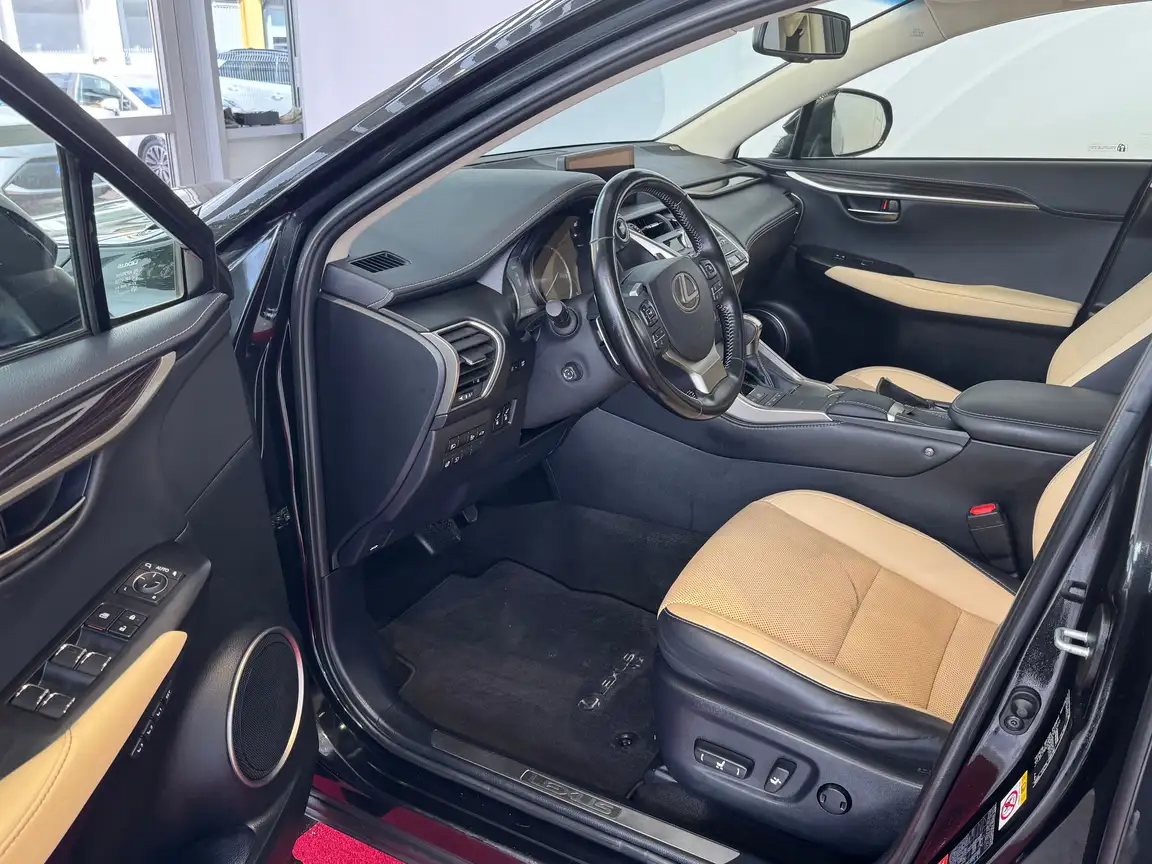 LEXUS NX