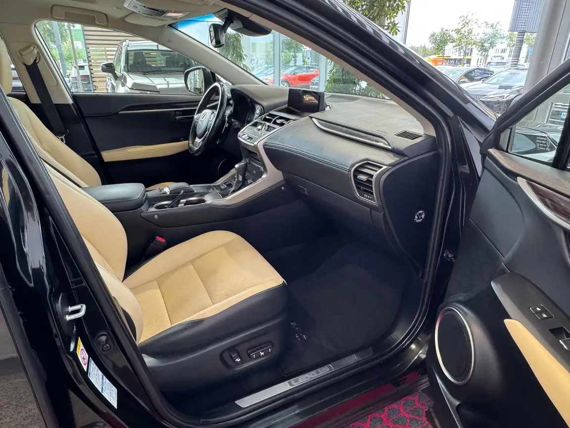 LEXUS NX