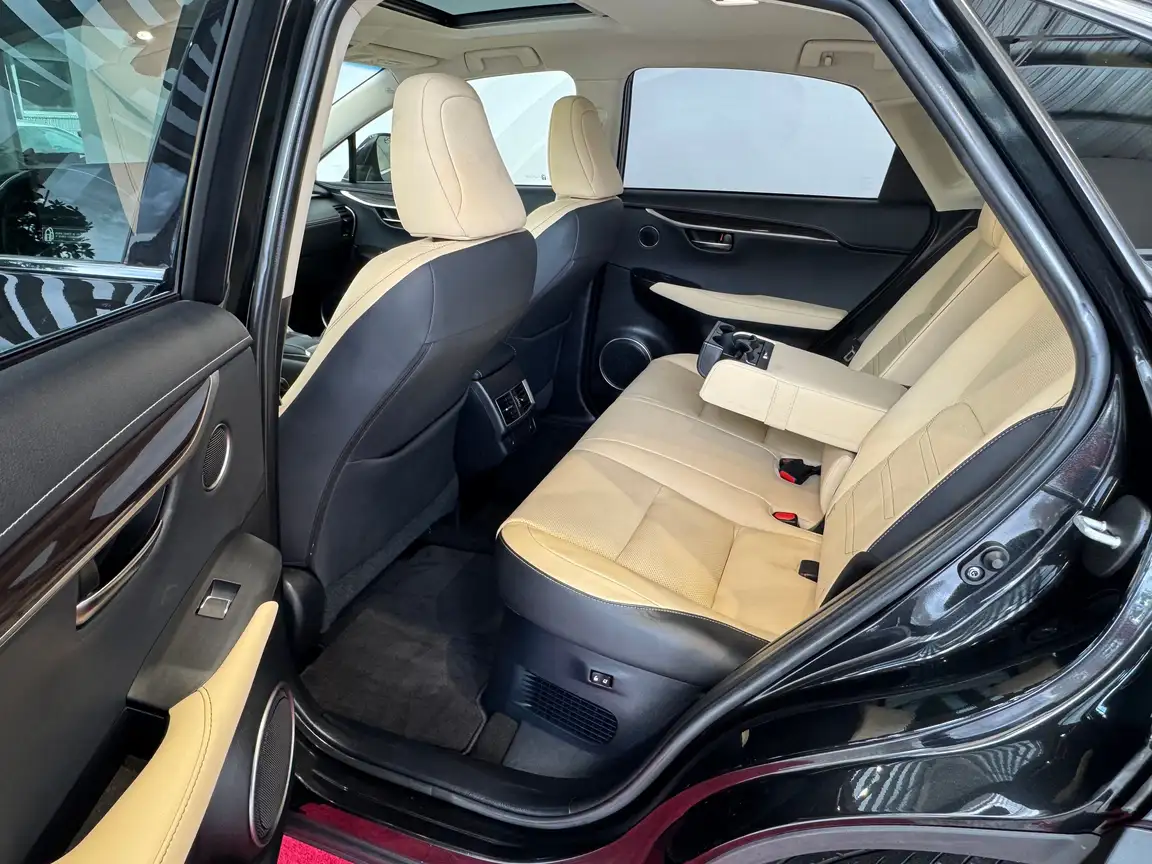 LEXUS NX