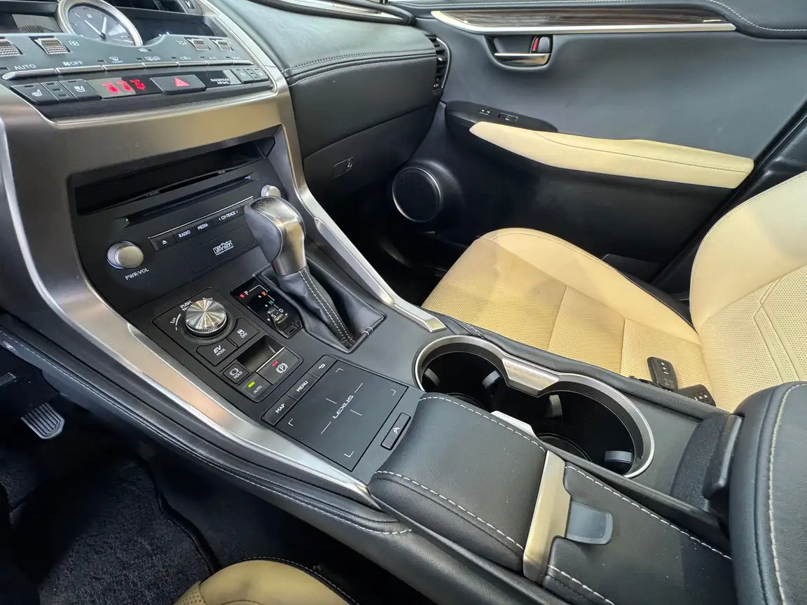 LEXUS NX