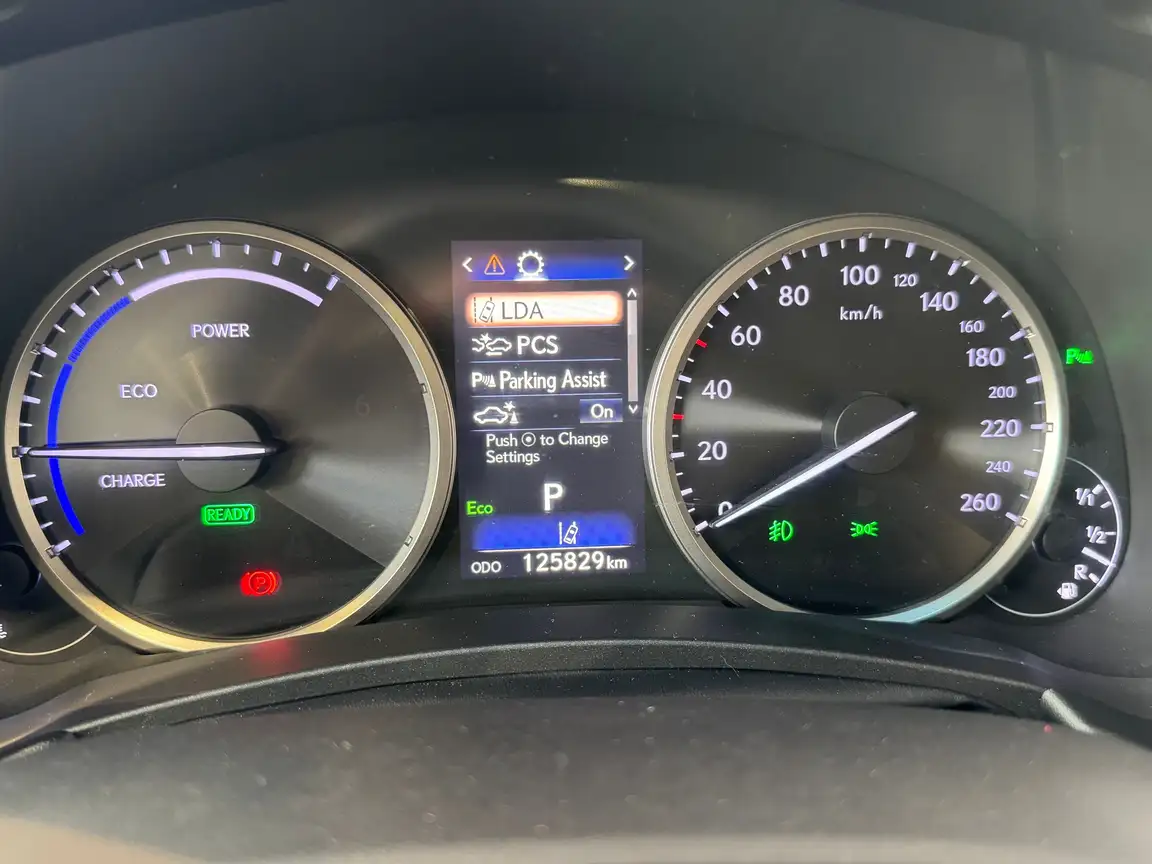 LEXUS NX