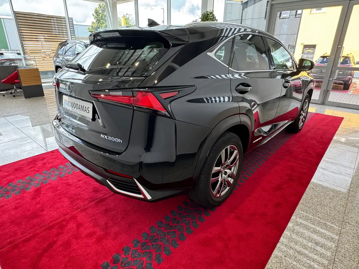 LEXUS NX