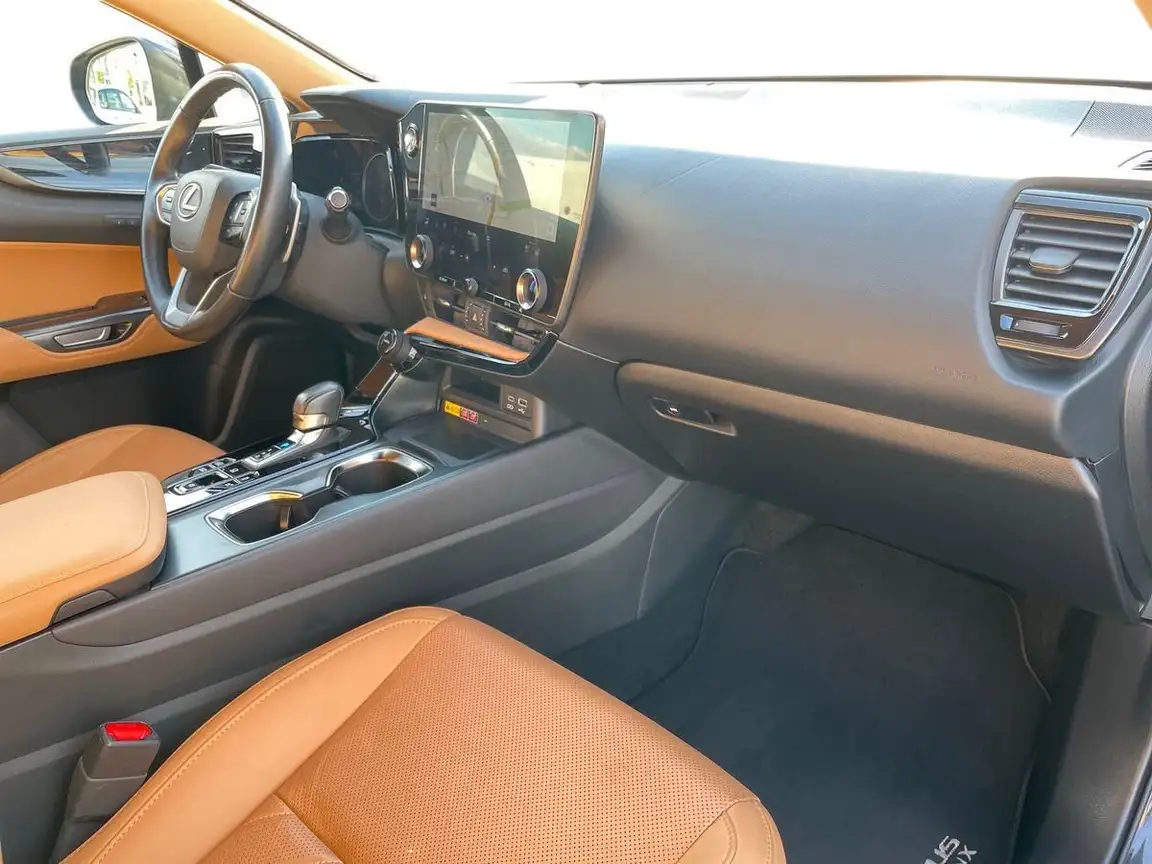 LEXUS NX