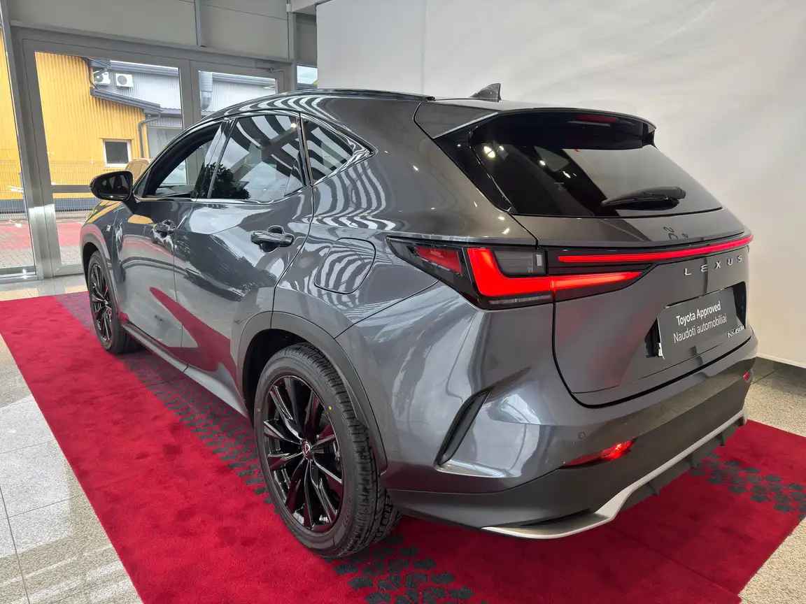 LEXUS NX