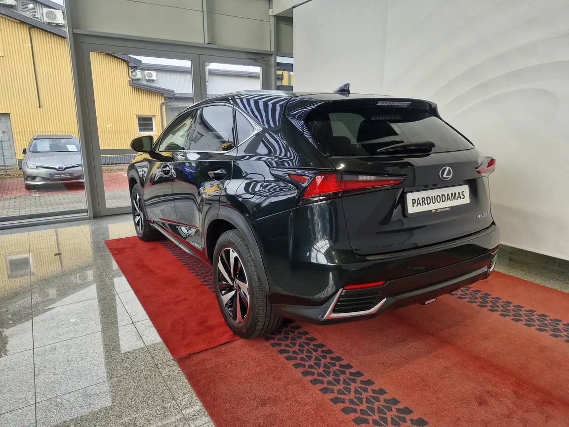 LEXUS NX