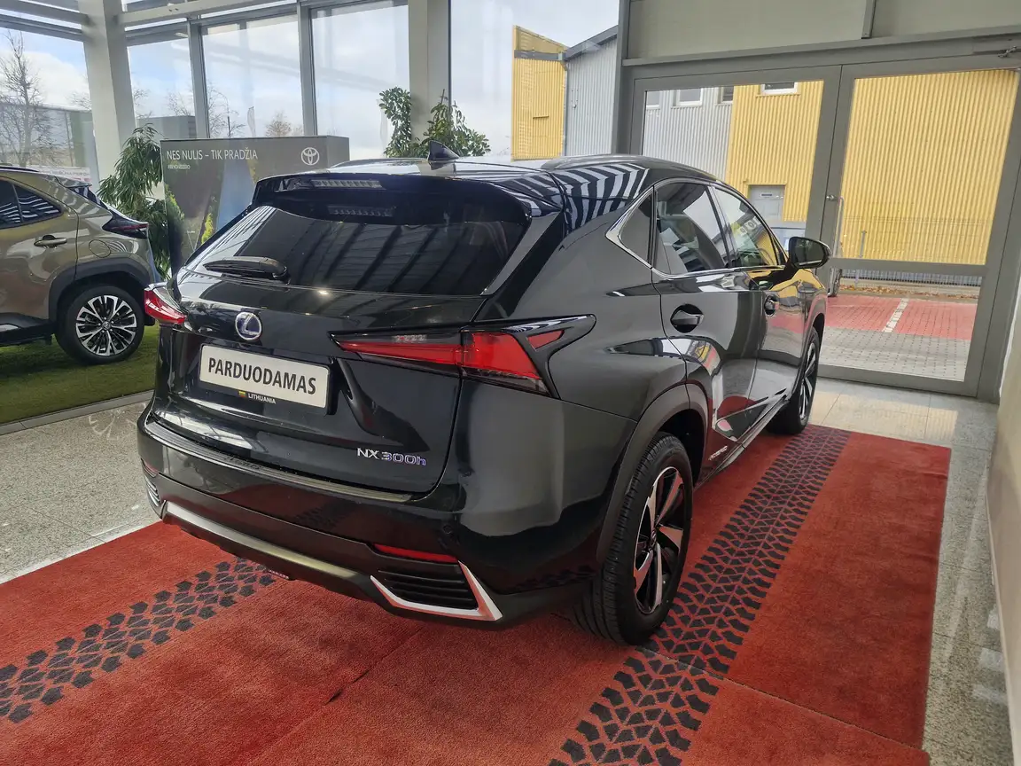 LEXUS NX