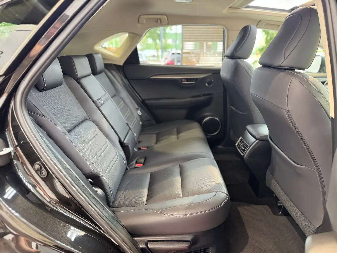 LEXUS NX