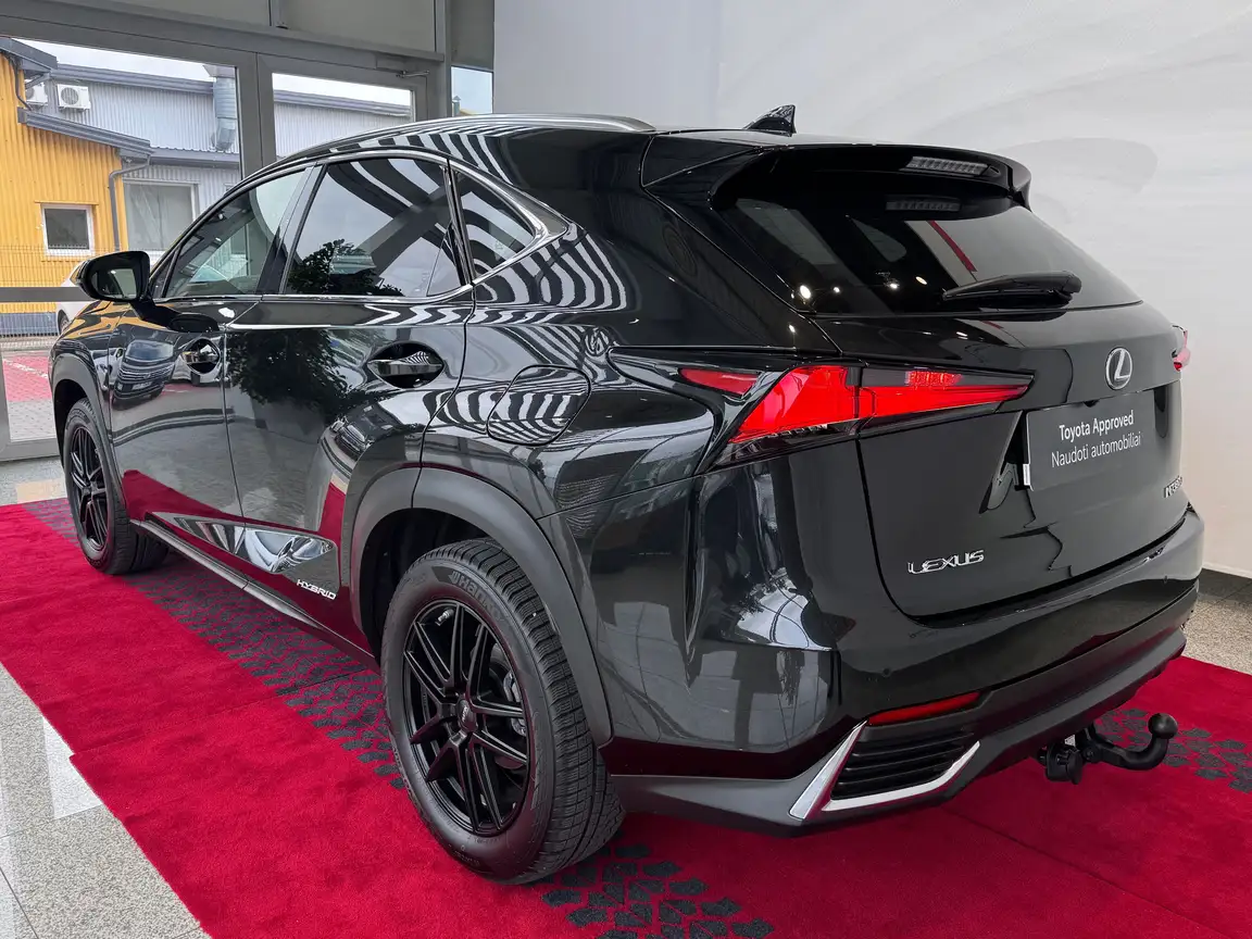 LEXUS NX