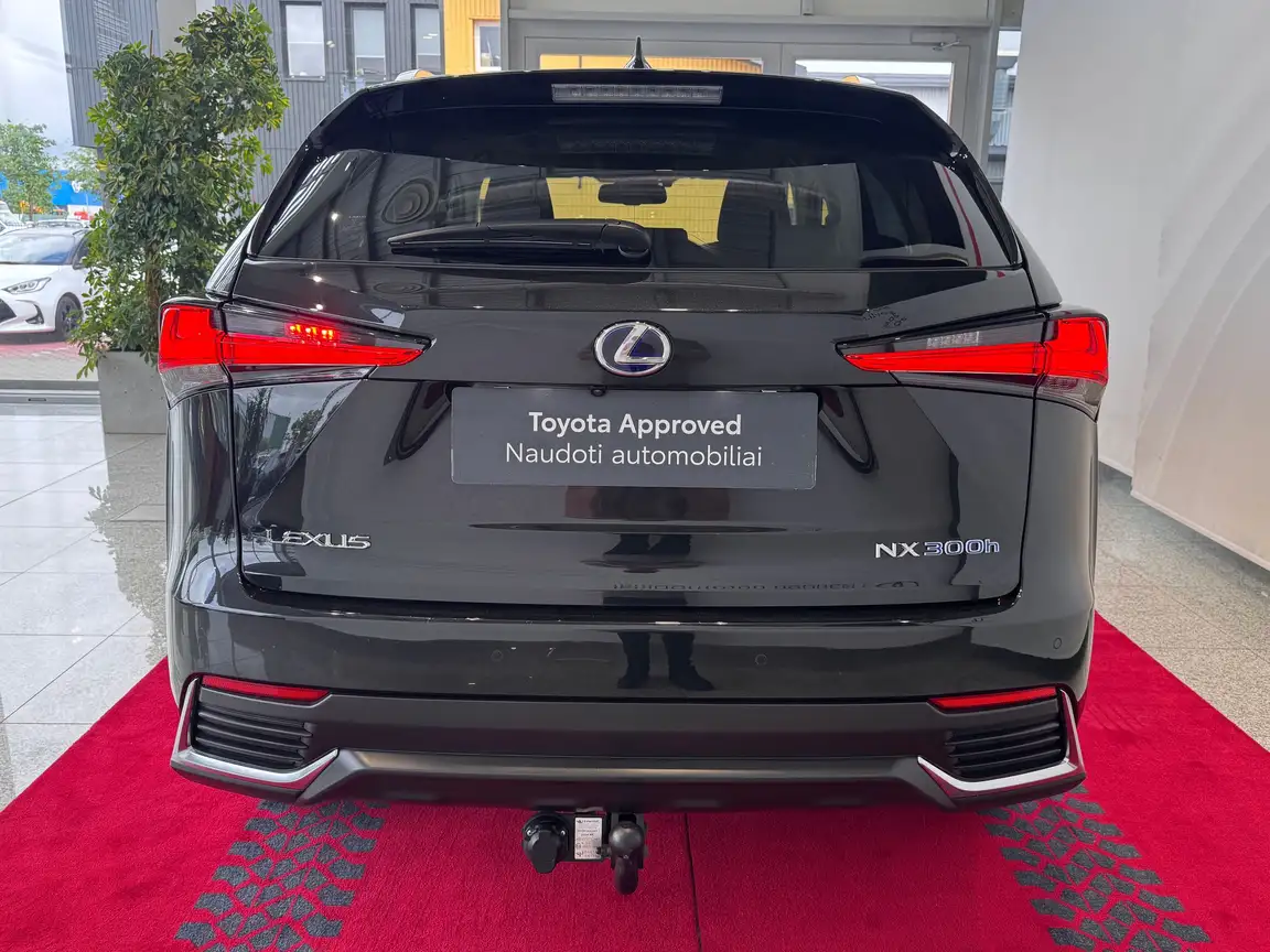 LEXUS NX