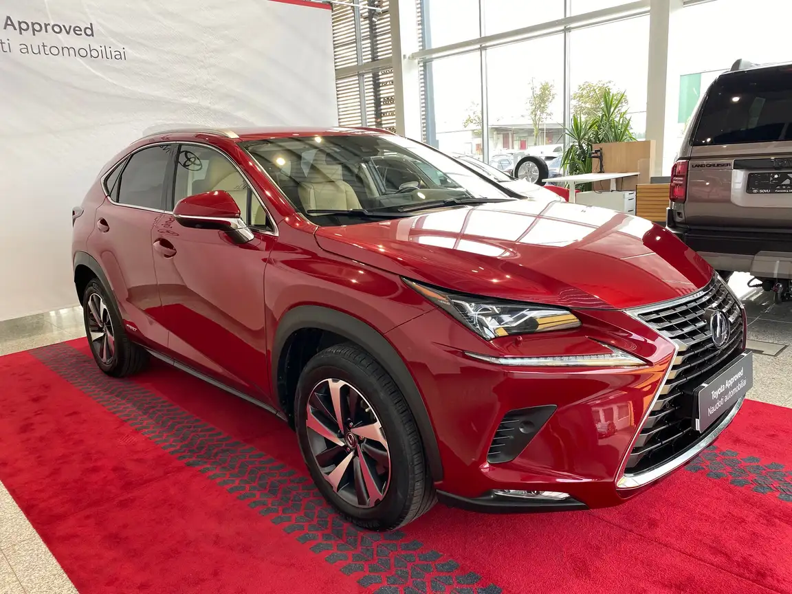 LEXUS NX