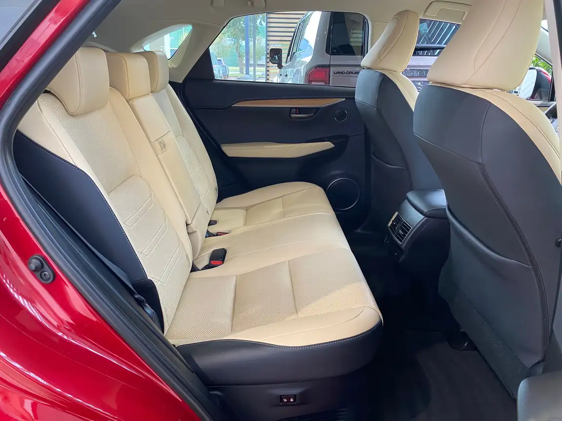 LEXUS NX