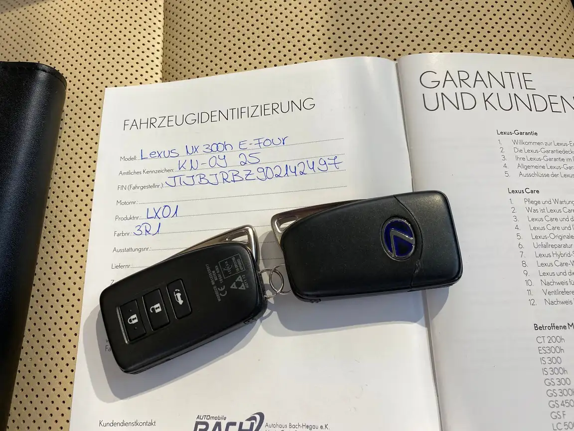 LEXUS NX