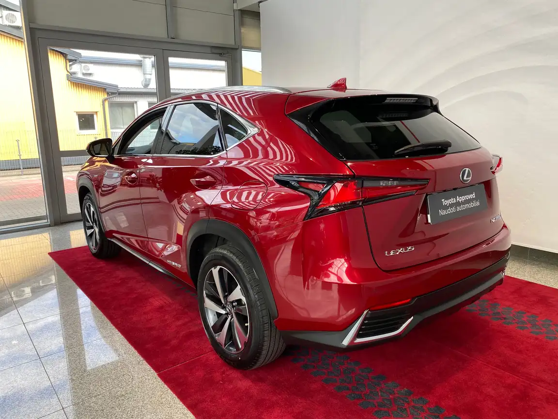 LEXUS NX