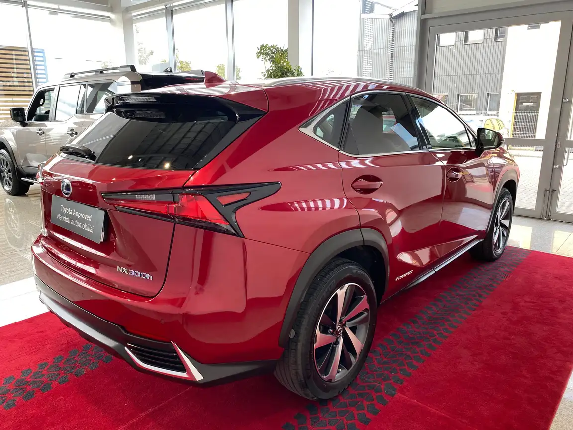LEXUS NX