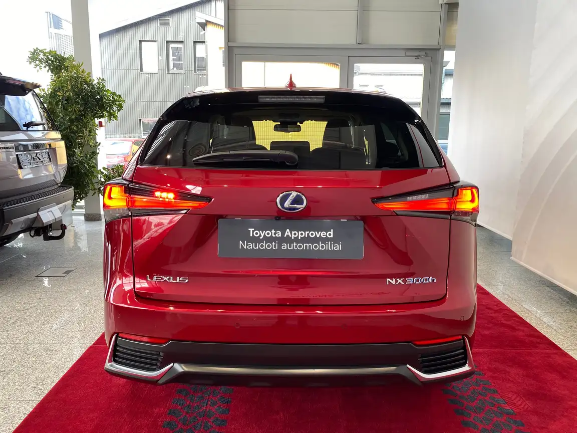 LEXUS NX