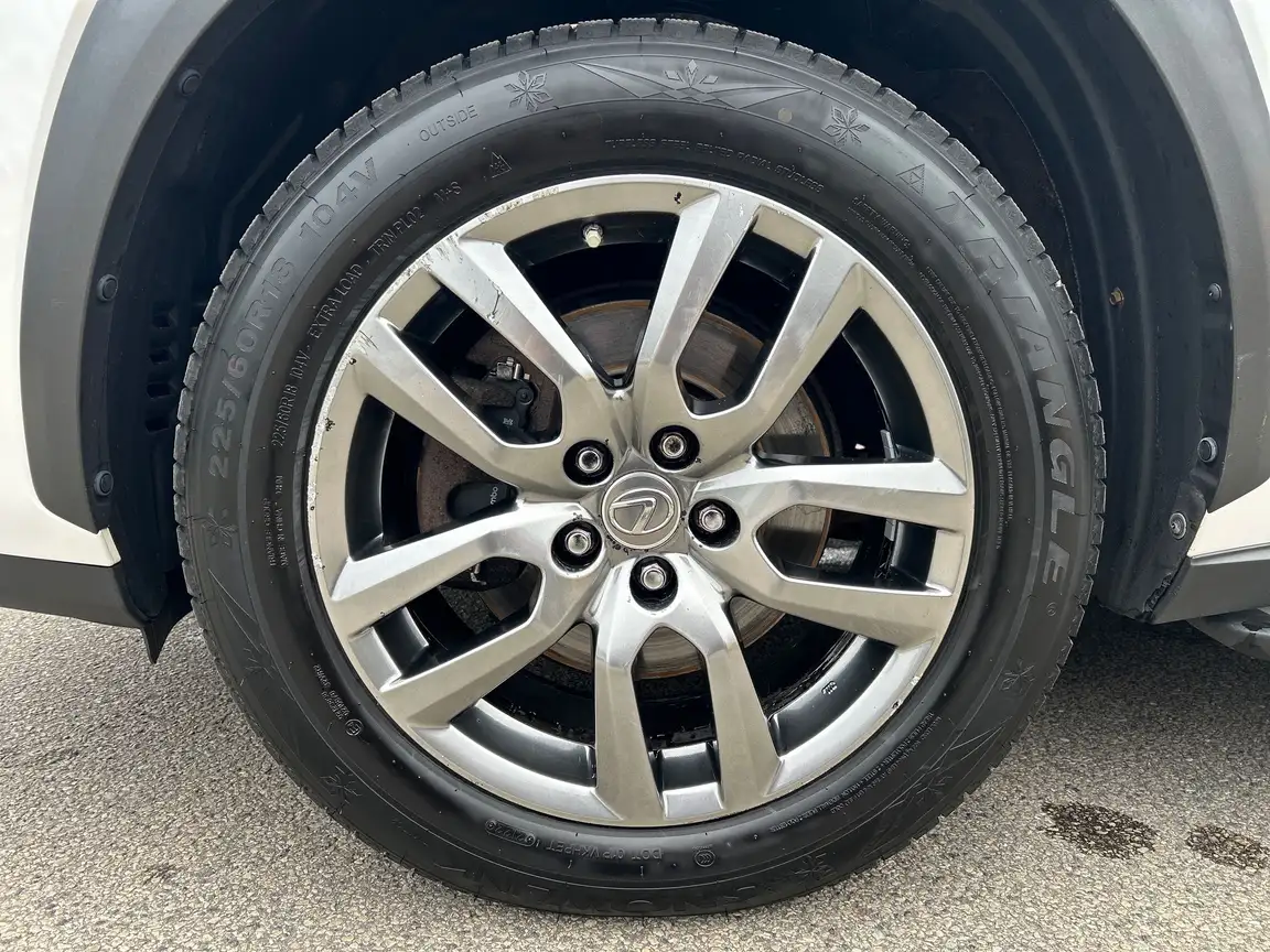 LEXUS NX