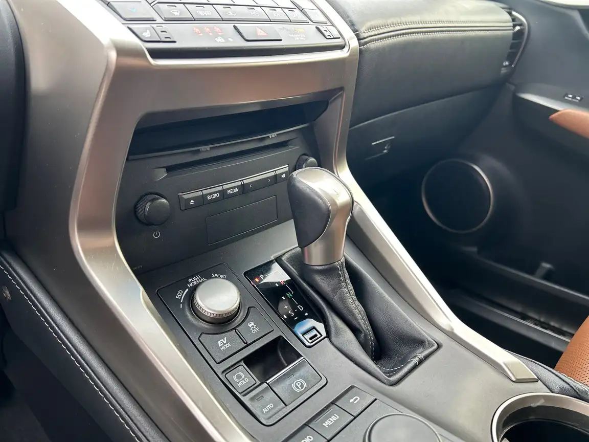 LEXUS NX