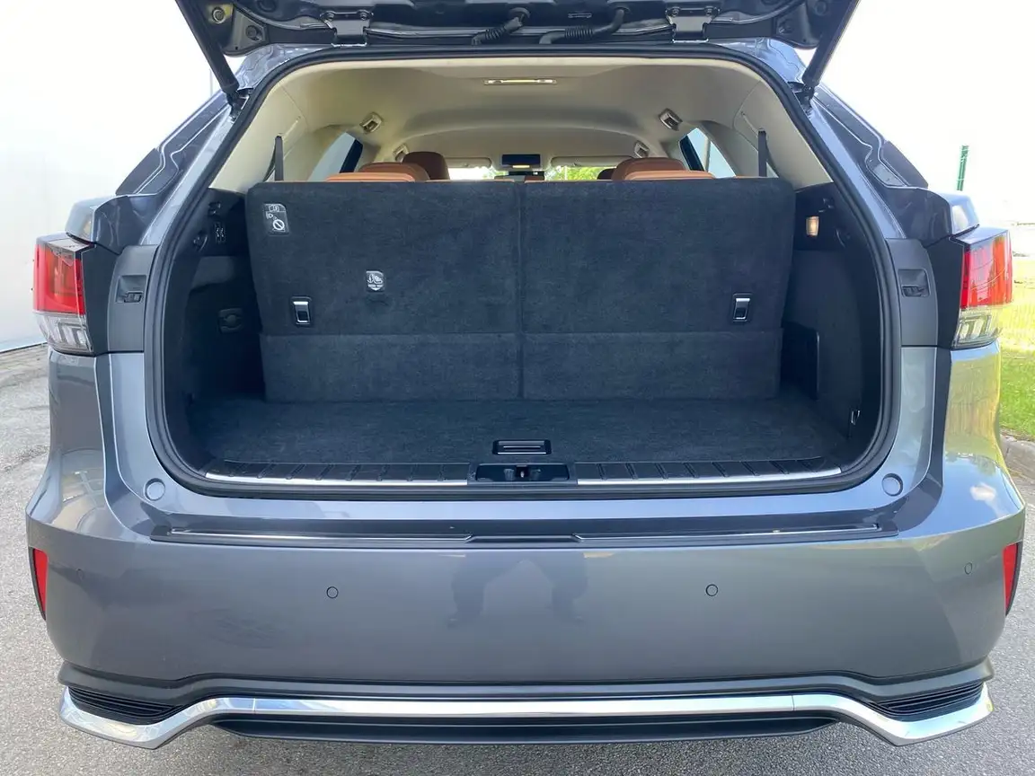 LEXUS RX