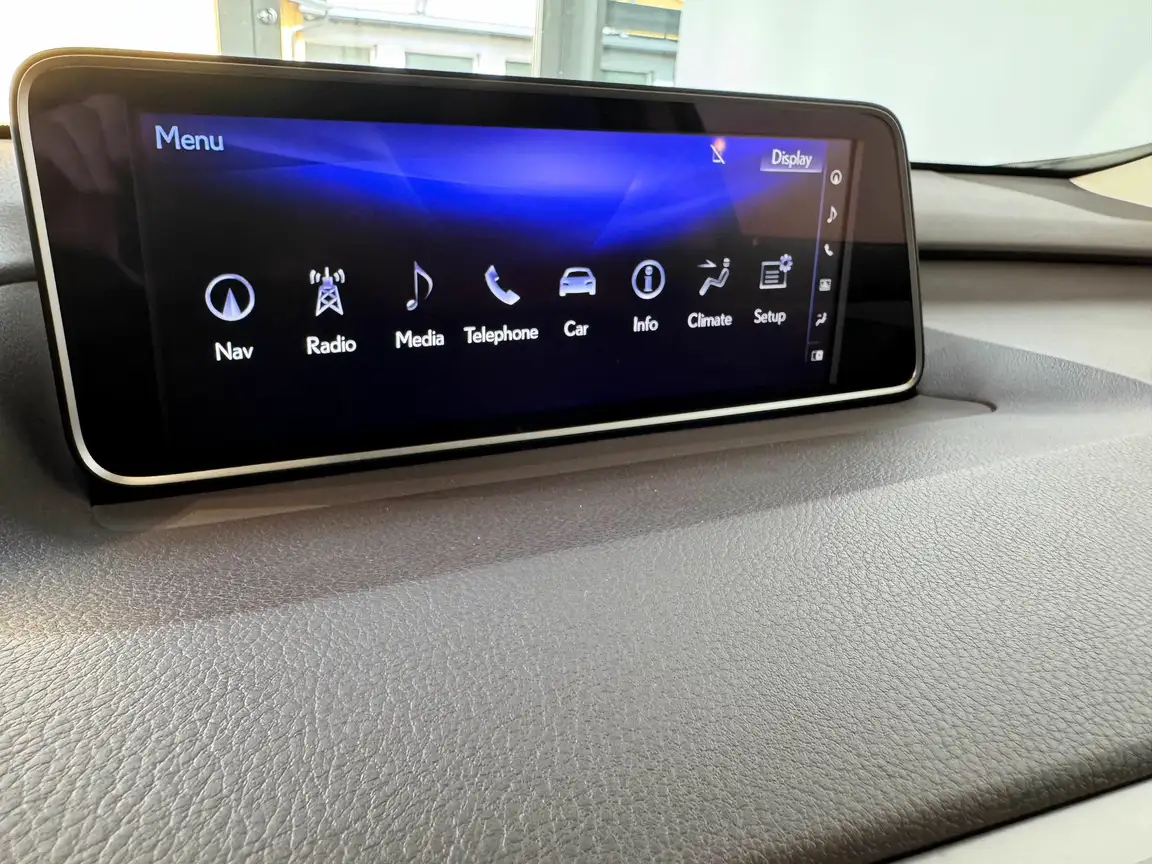LEXUS RX