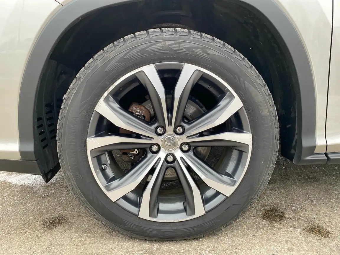 LEXUS RX