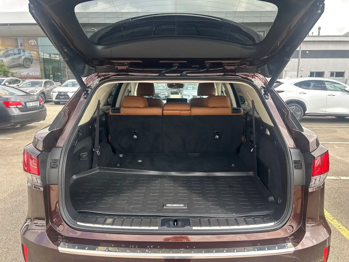 LEXUS RX