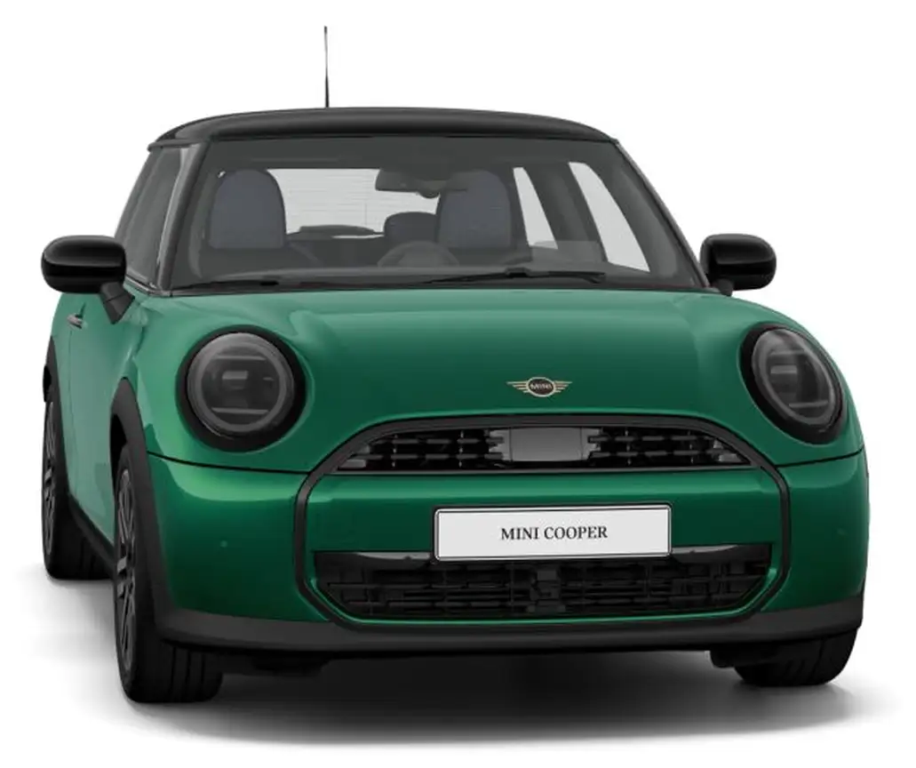 MINI NONE