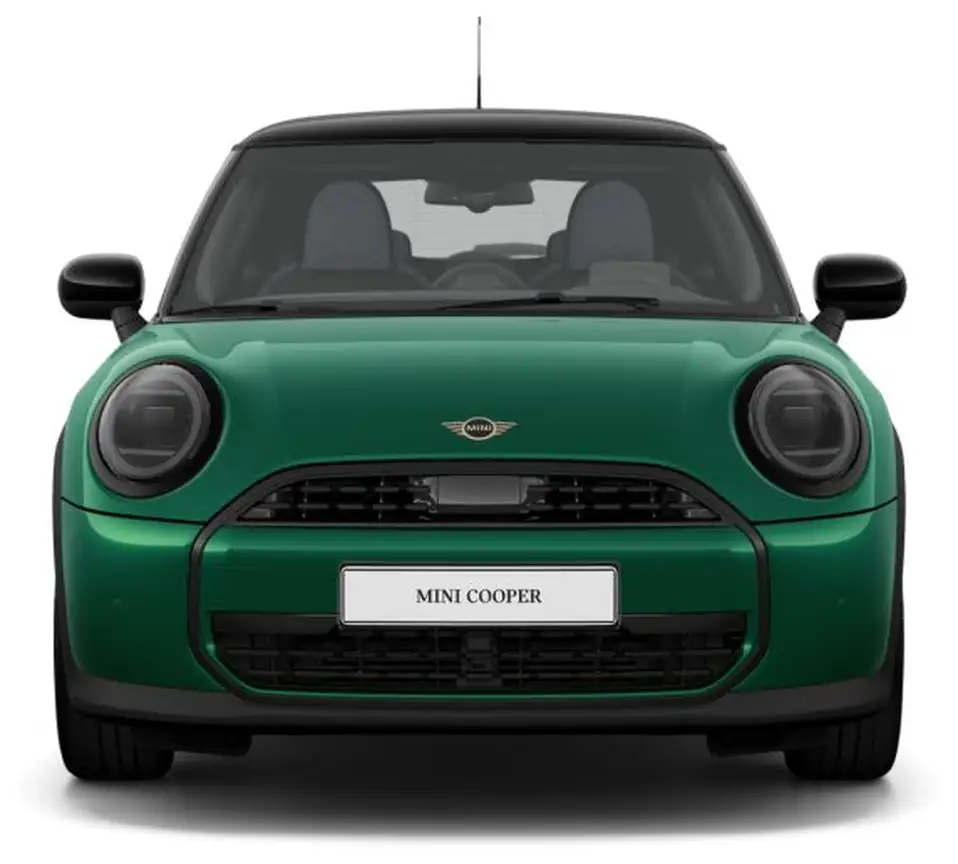 MINI NONE