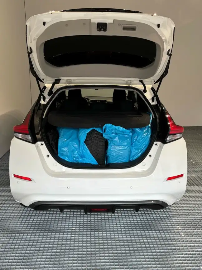 NISSAN LEAF