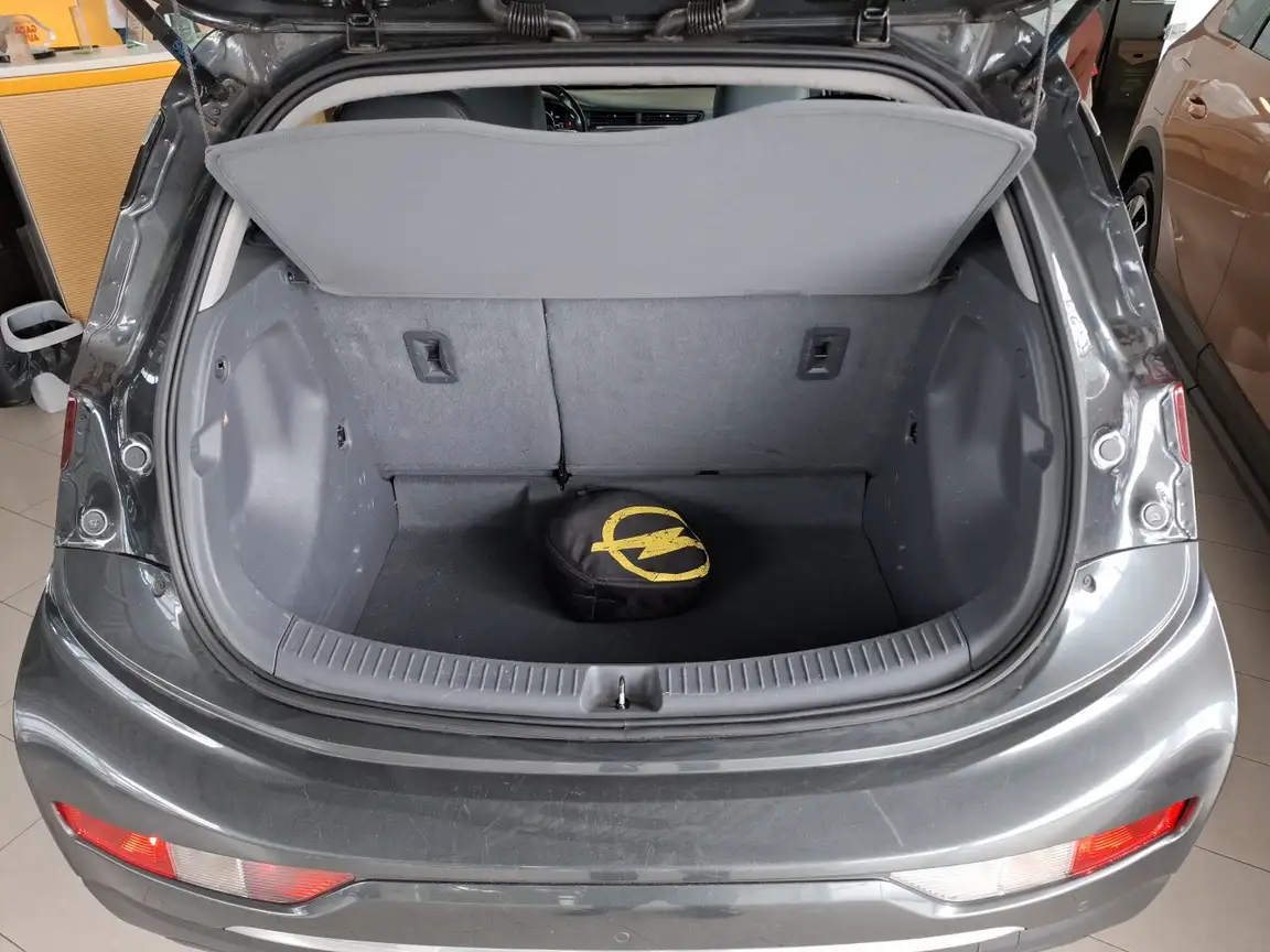 OPEL AMPERA
