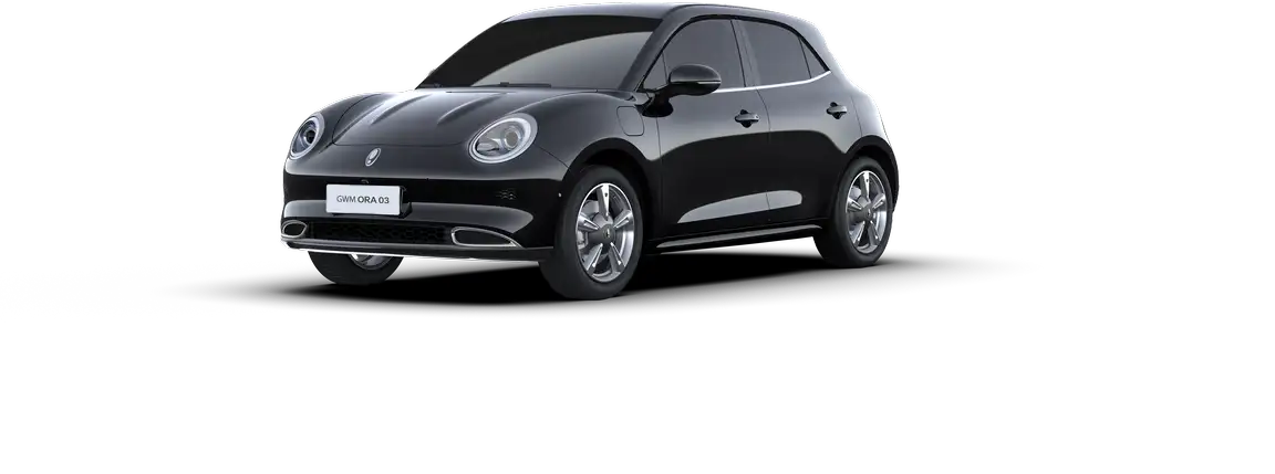 GWM ORA 03