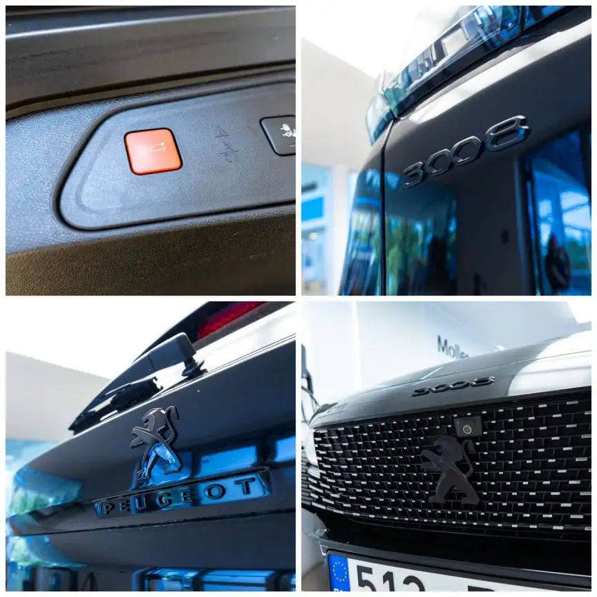 PEUGEOT 3008