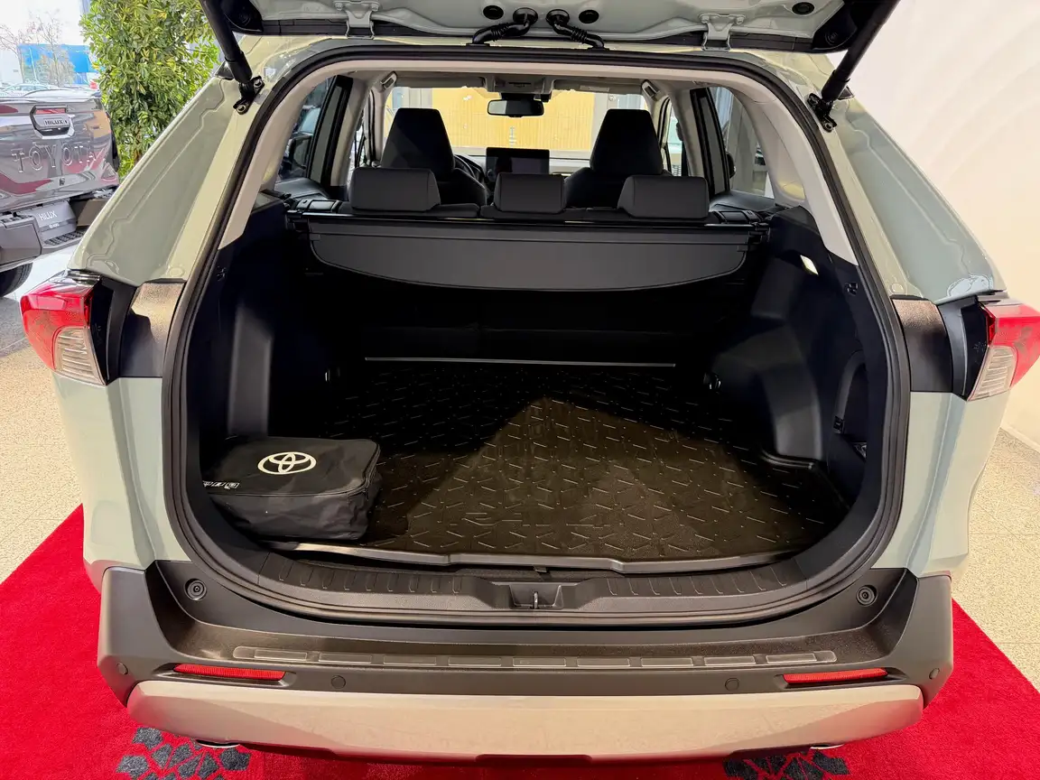 TOYOTA RAV4